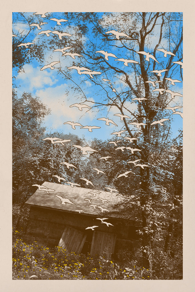 Old Barn