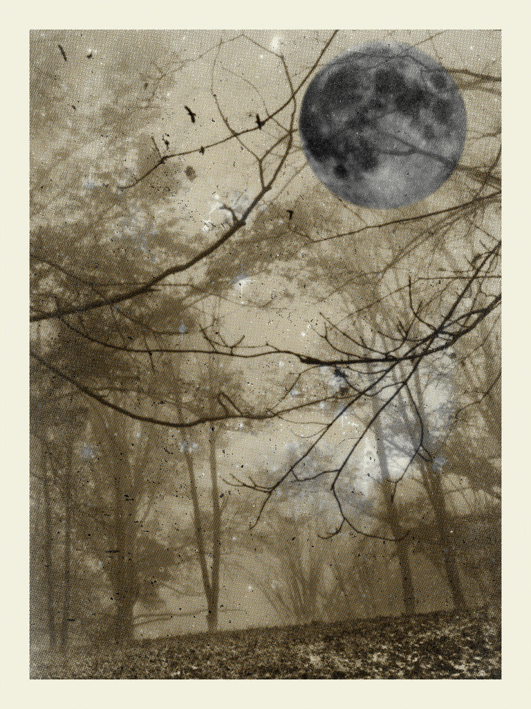 Foggy Moon